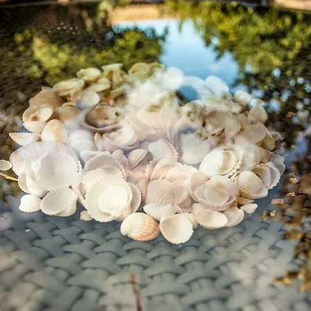 Fiore Di Maggio מלון 3*