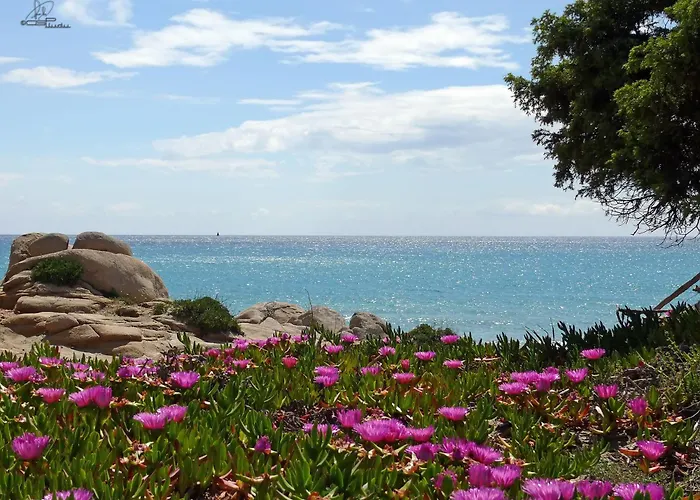 Fiore Di Maggio Otel 3*