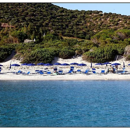 Fiore Di Maggio מלון וילסימיוס