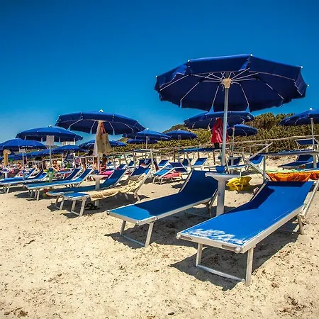 Fiore Di Maggio 维拉西米乌斯