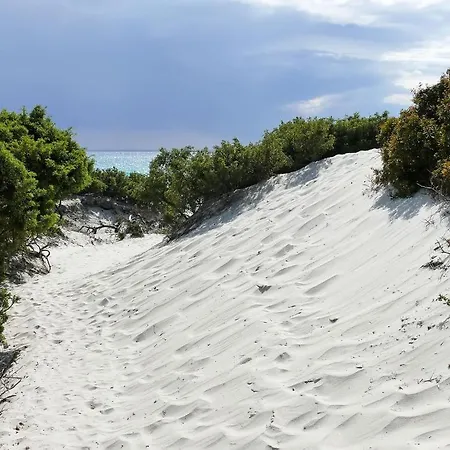 酒店 Fiore Di Maggio 3*