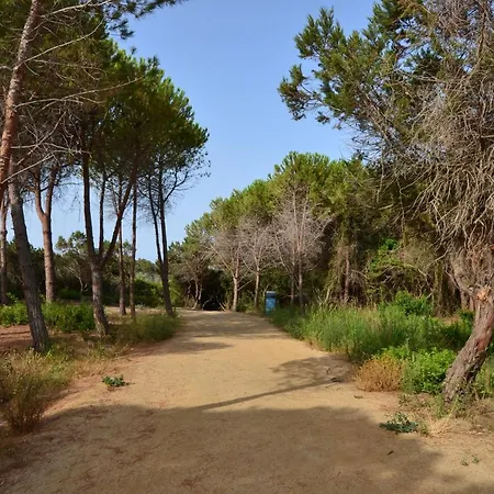 Fiore Di Maggio Villasimius