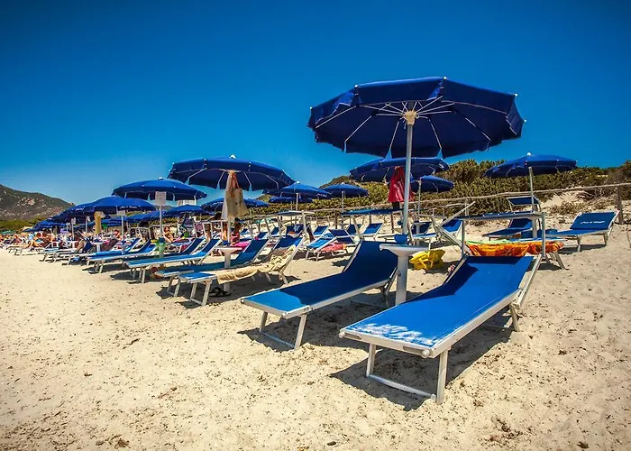 Fiore Di Maggio 维拉西米乌斯