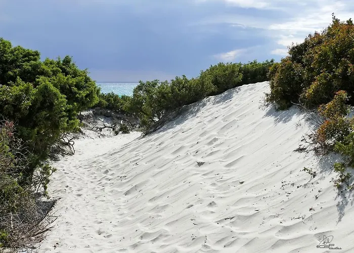 Готель Fiore Di Maggio 3*