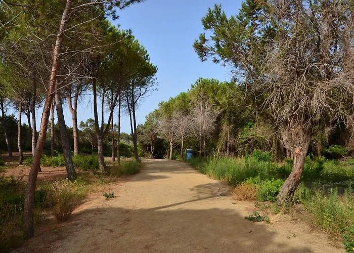 Fiore Di Maggio Villasimius